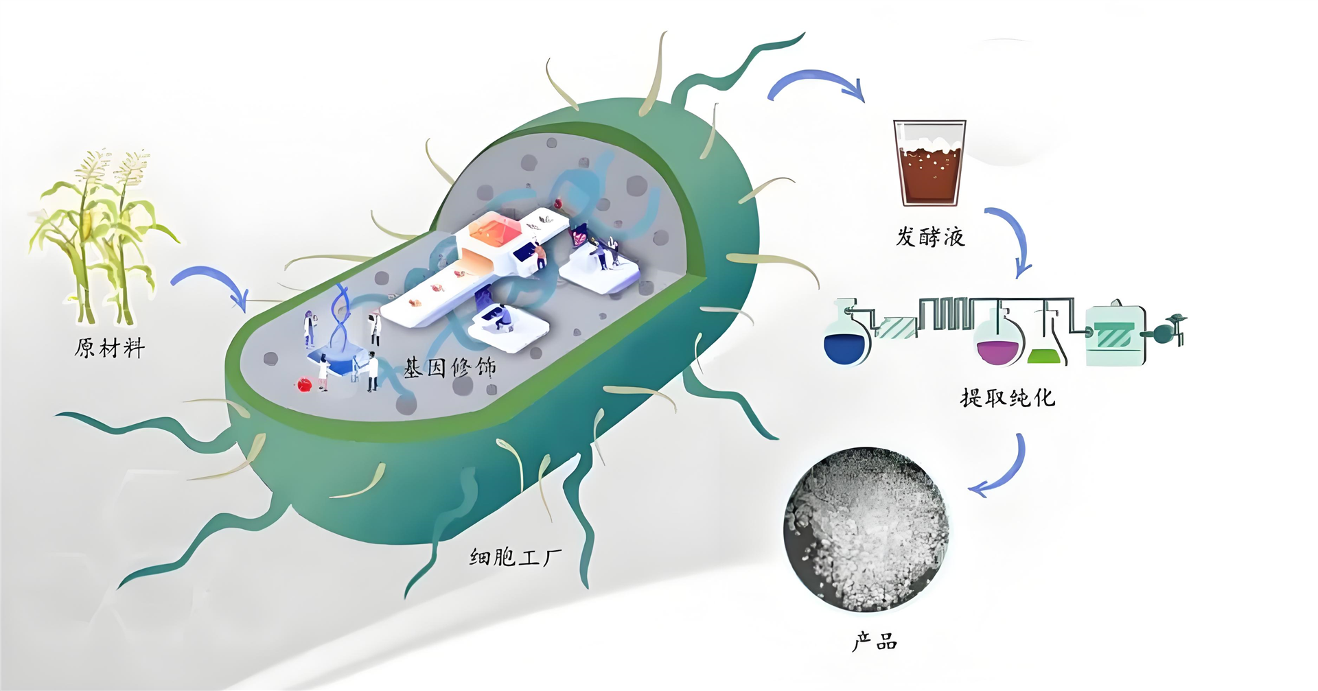合成生物學(xué)平行反應器方案